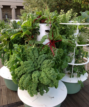 JRA_MSI Smart Home_Hydroponic Greens